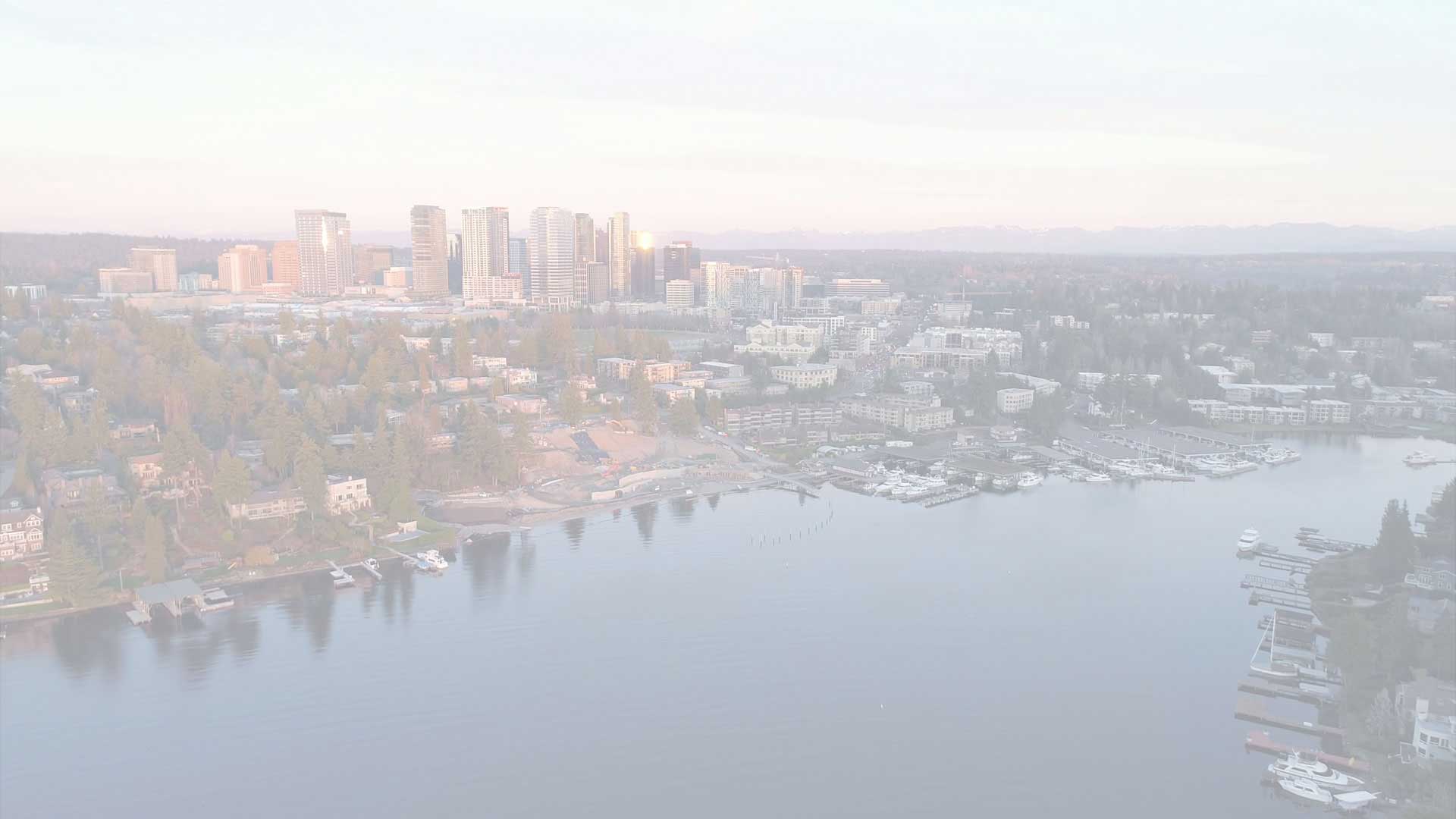 Bellevue House and Office Cleaning Services